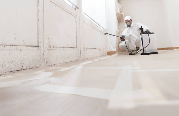 24/7 Emergency Mold Remediation experts in Prosper, TX